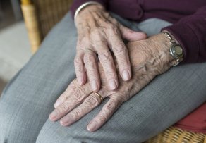 hand-2906434_1920.jpg