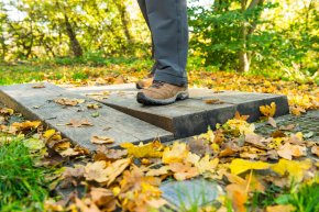 NP_Habichtswald_HWST_Orendt_Pfeifenwippe (12).jpg