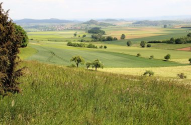 Wüstung Berningshausen.JPG